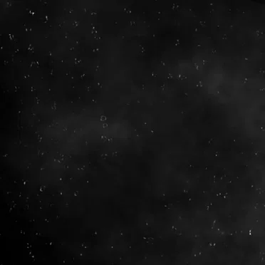 Silent Night