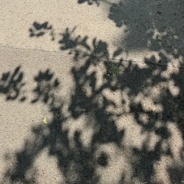 Always Shifting