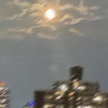 Cardigan (sped up version)