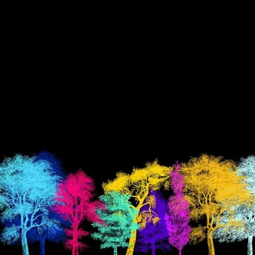 The Bloom EP by National Skyline - album cover