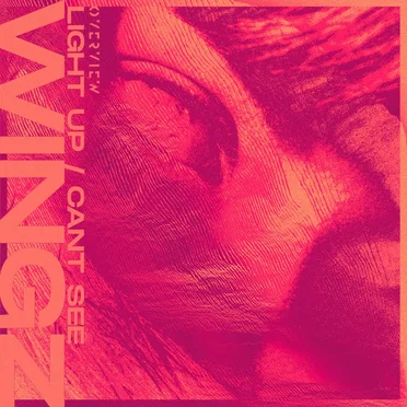 Light Up / Can’t See