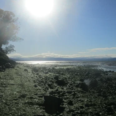 Selected Recordings at the Pinole Shore