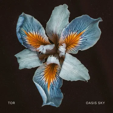 Oasis Sky by Tor - album cover