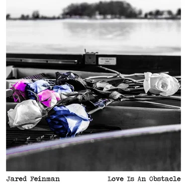 Love Is An Obstacle - Single by Jared Feinman - album cover