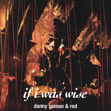 If I Was Wise by Danny Guinan - album cover