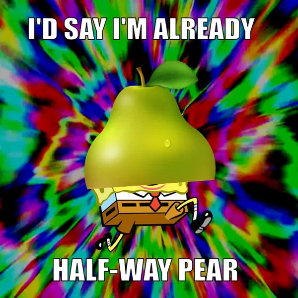 The Pingas Symphony