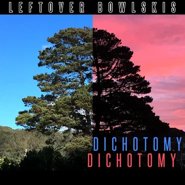 Dichotomy