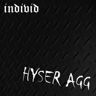 Hyser agg by individ - album cover