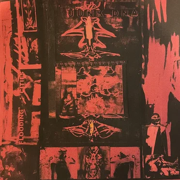 Flooding Cities by Junk DNA - album cover