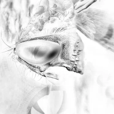We'll Be Together in the Dead of the Night, in the Belly of the Beast We Stay; I Don't Believe in Mercy, I Don't Believe in Heaven, I Don't Believe in Miracles, I Don't Believe in Wholenows; Stop Being Selfish and Fire My Shotgun to the Other Side of Your Metaphysical Womb Already!