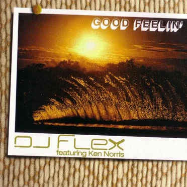 Good Feelin' by DJ Flex - album cover