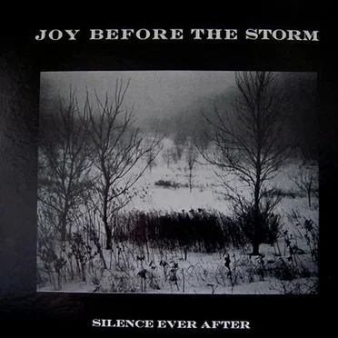Silence Ever After by Joy Before The Storm - album cover