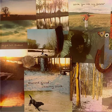 Seventeen by Don and the Divorcees - album cover