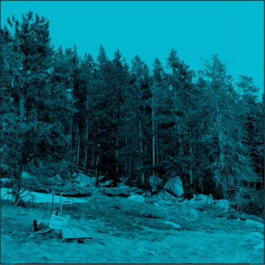 The Clearing by JJJJJerome Ellis - album cover