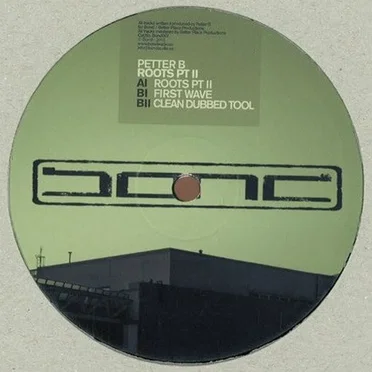 Roots Pt II by Petter B - album cover