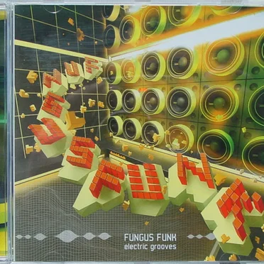 Electric Grooves