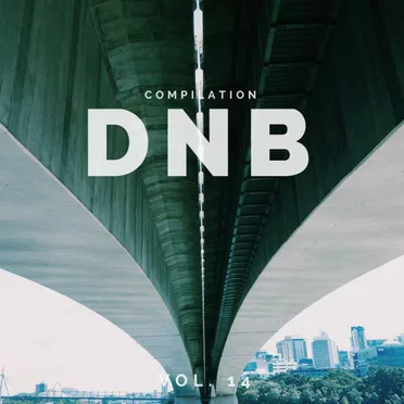 DnB Music Compilation, Vol. 14 by Various Artists - album cover