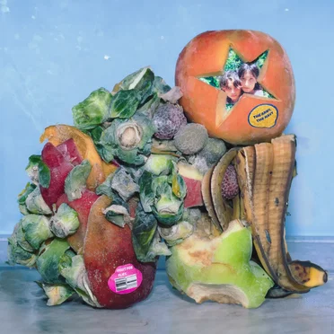 Fruit for Flies by The Army, The Navy - album cover
