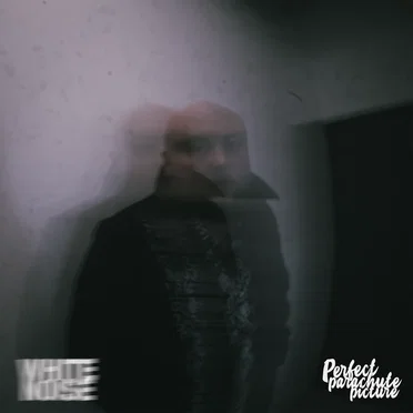 White Noise by Perfectparachutepicture - album cover
