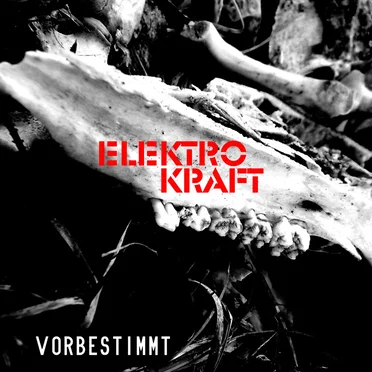 Vorbestimmt