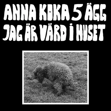 Anna koka 5 ägg jag är värd i huset by Anna koka 5 ägg jag är värd i huset - album cover
