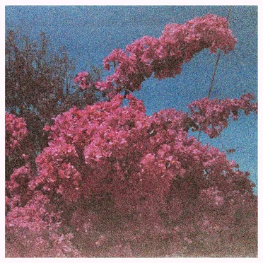 Picture a Frame by Elisabeth Klinck - album cover
