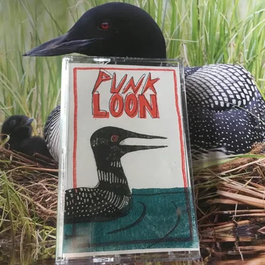 Authentic Nature Sounds With Music by Punk Loon - album cover