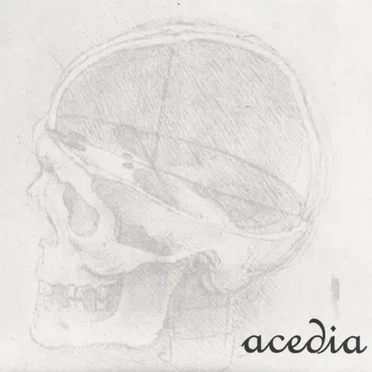 The Swarms Will Come To Slaughter The Hogs by Acedia - album cover