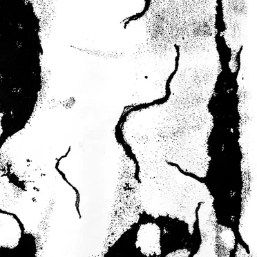 The Sky Had Vanished