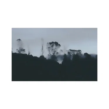 Migration