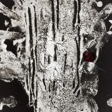 Votcofifxa by Tendon Levey - album cover