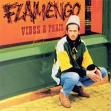 Vibes à paris by Flamengo - album cover