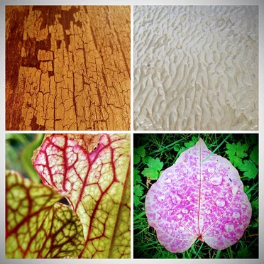 Nature and Maths by The Space Between Numbers - album cover
