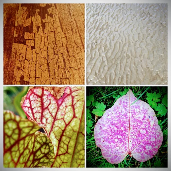 Nature and Maths