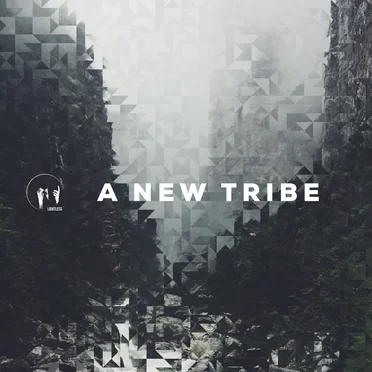 A New Tribe by Various Artists - album cover