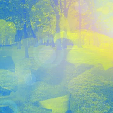 [untitled]