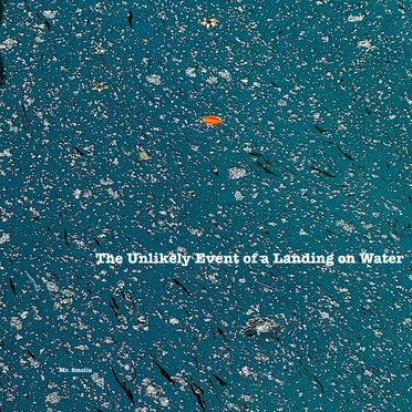 The Unlikely Event of a Landing on Water