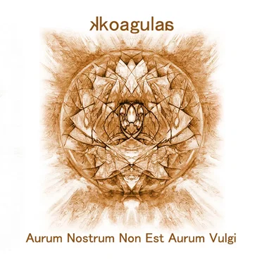 Aurum nostrum non est aurum vulgi by kkoagulaa - album cover