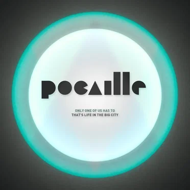 Pocaille