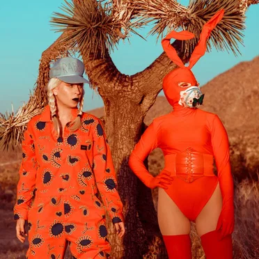 Who The Hell Knows by Jesika von Rabbit - album cover
