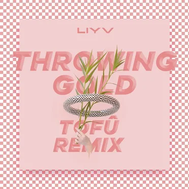 Throwing Gold (tofû remix)