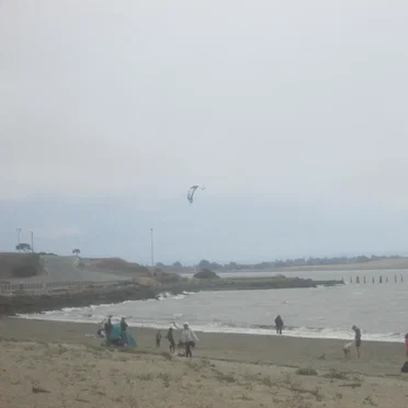 Albany State Marine Reserve (Recordings I Accidentally Missed)