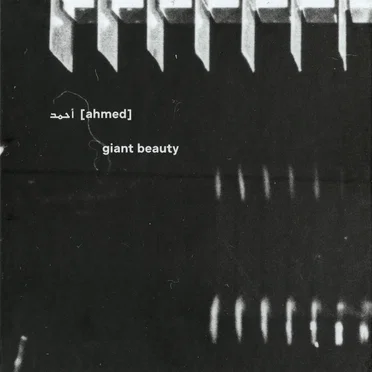 Giant Beauty by أحمد [Ahmed] - album cover