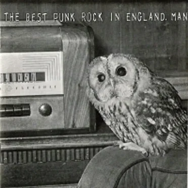 The Best Punk Rock in England, Man by Various Artists - album cover