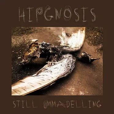 Still Ummadelling by Hipgnosis - album cover