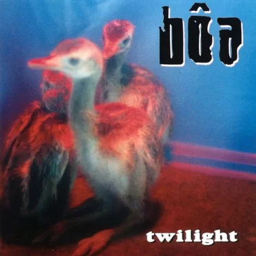 Twilight