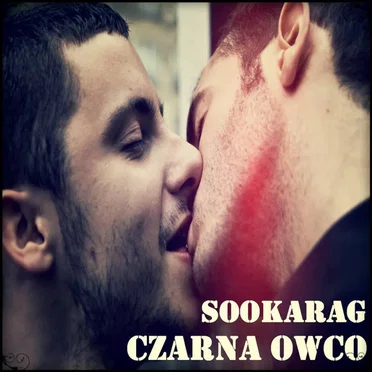 Czarna Owco
