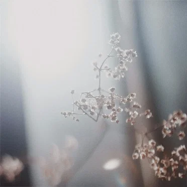 Acceptance
