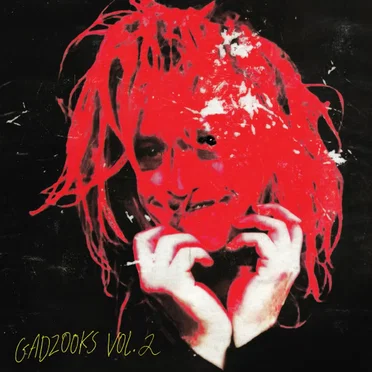 Gadzooks Vol. 2 by Caleb Landry Jones - album cover