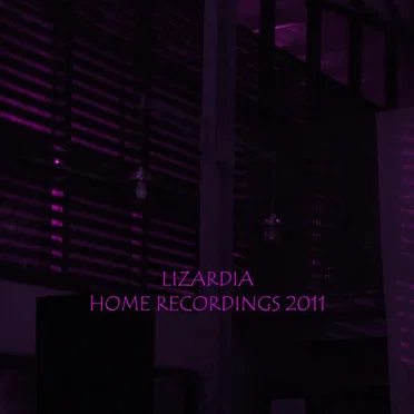 Home Recordings 2011 by Lizardia - album cover